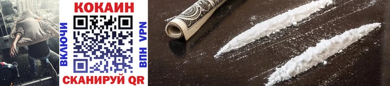 Купить закладки  Пудож  Cocaine Эквадор 