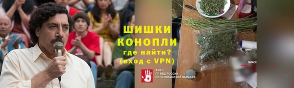дурь Заводоуковск
