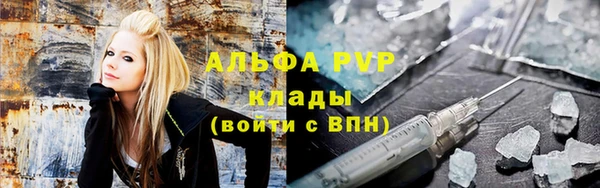 ПСИЛОЦИБИНОВЫЕ ГРИБЫ Дмитровск