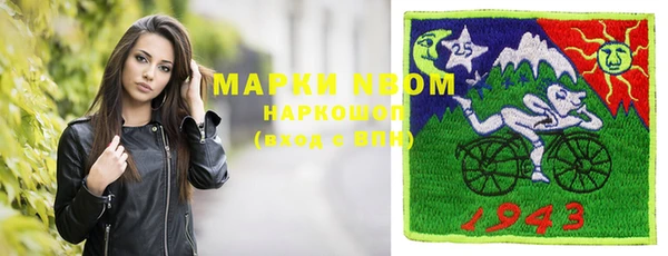 шишки Заволжье