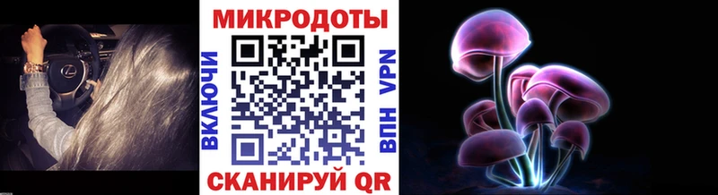 Купить где  Пудож  Галлюциногенные грибы GOLDEN TEACHER 